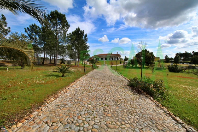 Moradia T4 para Venda em Benavente Foto 53