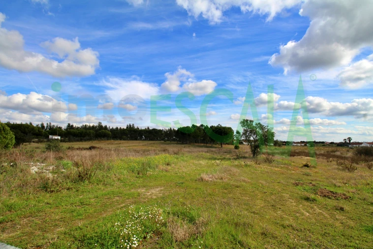 Moradia T4 para Venda em Benavente Foto 74