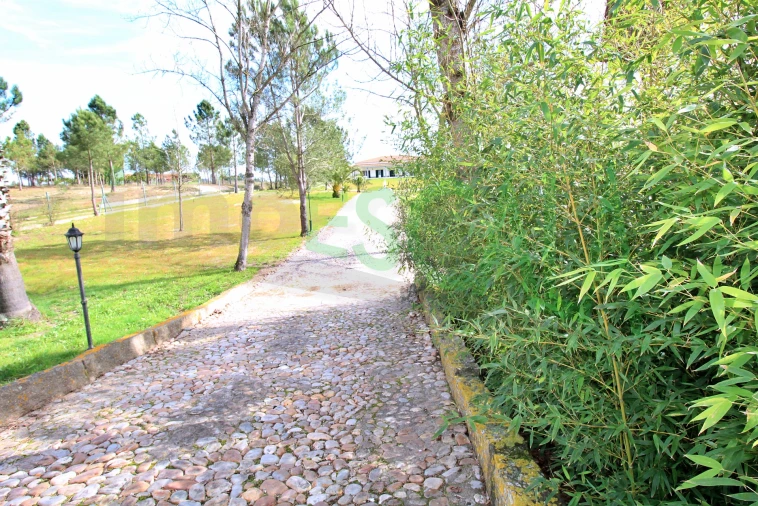 Moradia T4 para Venda em Benavente Foto 43