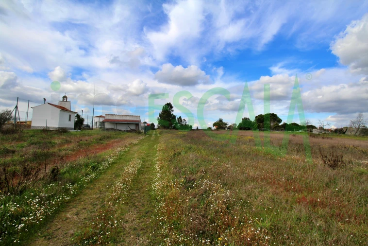 Moradia T4 para Venda em Benavente Foto 73