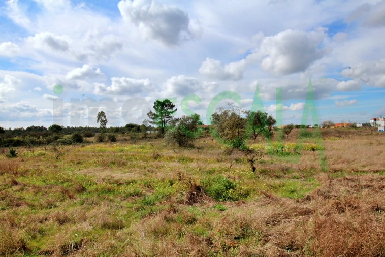 Moradia T4 para Venda em Benavente Foto 87