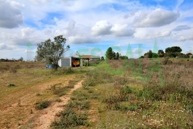 Moradia T4 para Venda em Benavente Foto 82