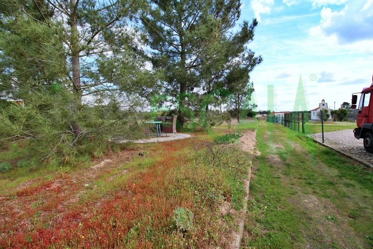 Moradia T4 para Venda em Benavente Foto 71