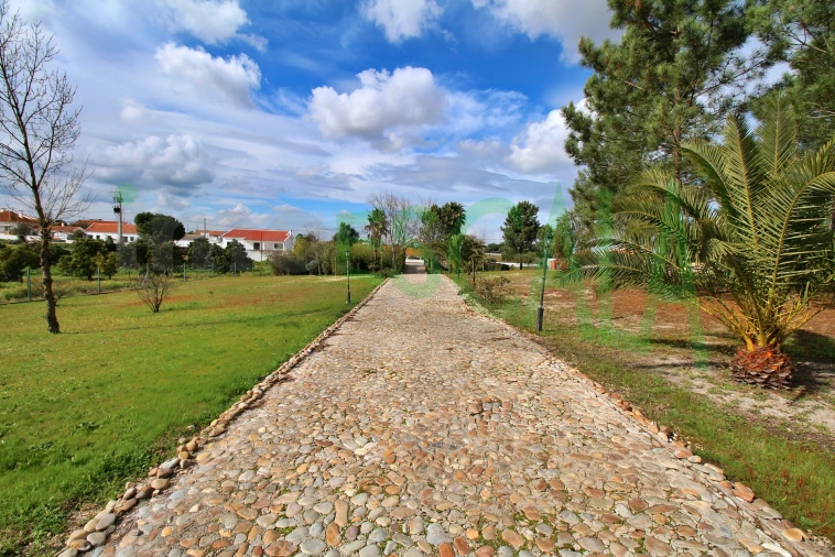 Moradia T4 para Venda em Benavente Foto 5