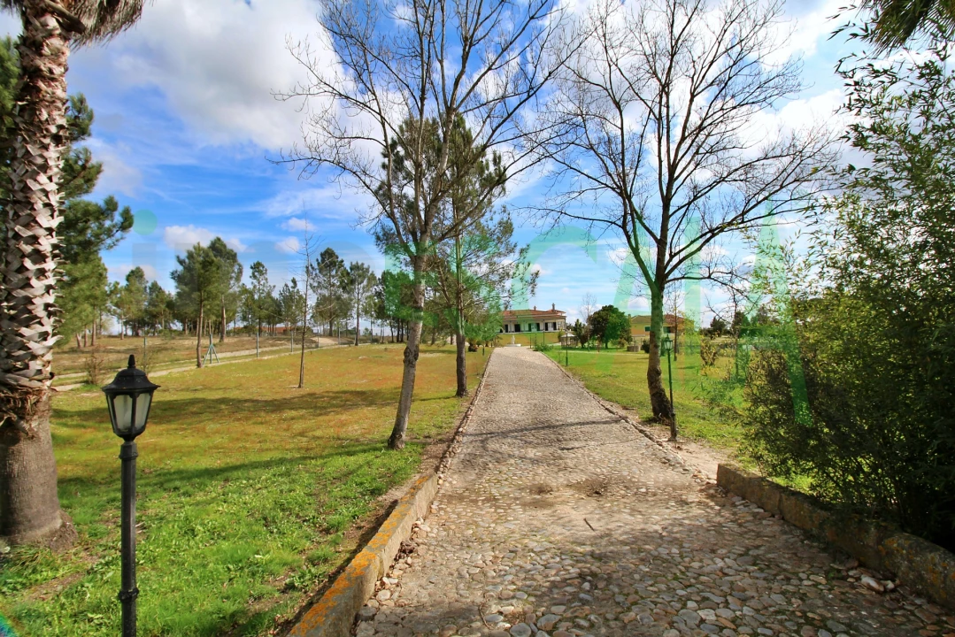 Moradia T4 para Venda em Benavente Foto 42