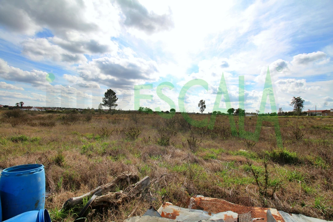 Moradia T4 para Venda em Benavente Foto 75