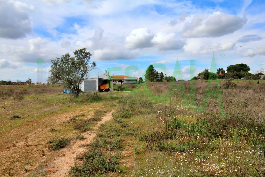 Moradia T4 para Venda em Benavente Foto 82