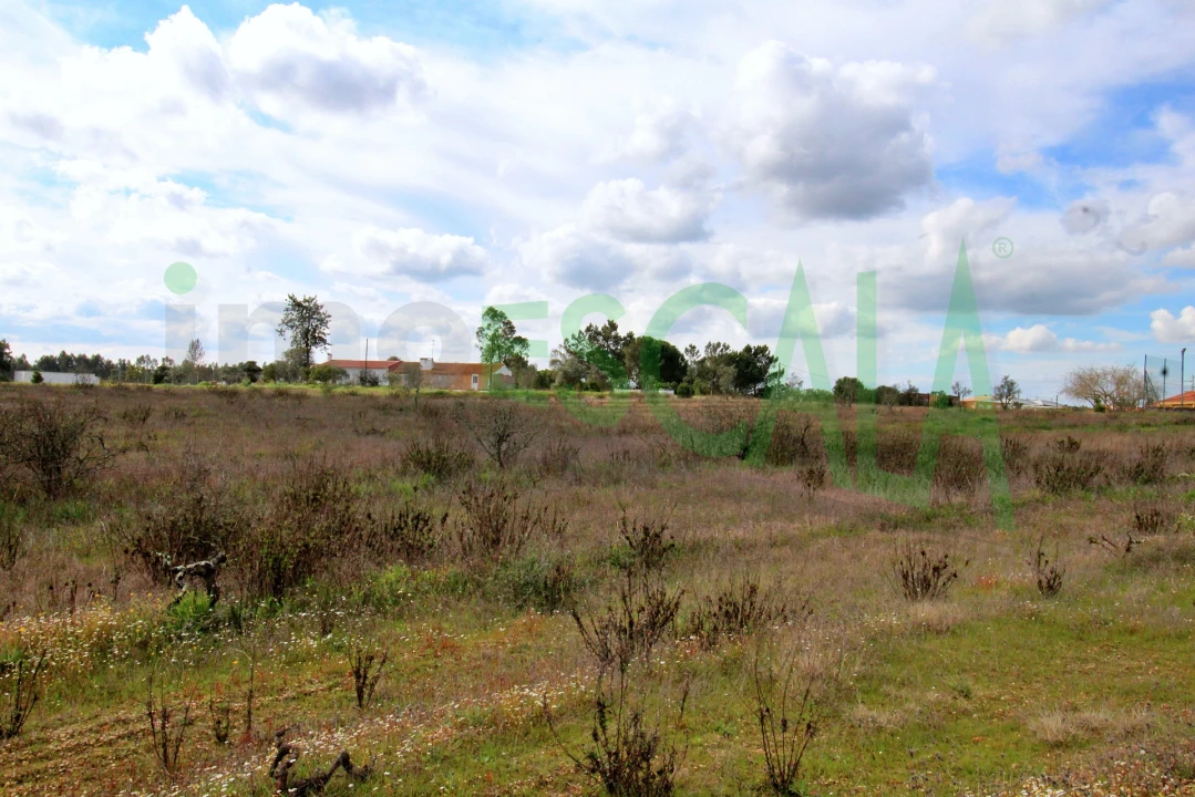 Moradia T4 para Venda em Benavente Foto 80