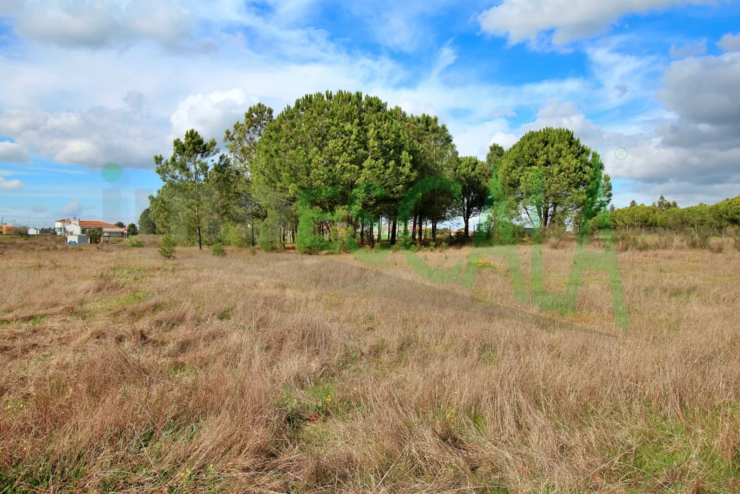 Moradia T4 para Venda em Benavente Foto 85