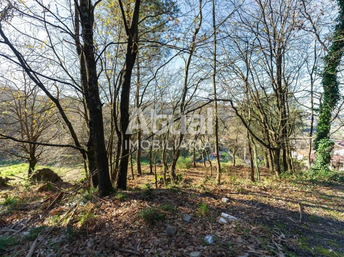 Terreno para Venda em Santa Eulália Foto 17