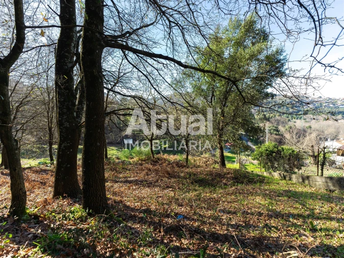 Terreno para Venda em Santa Eulália Foto 16