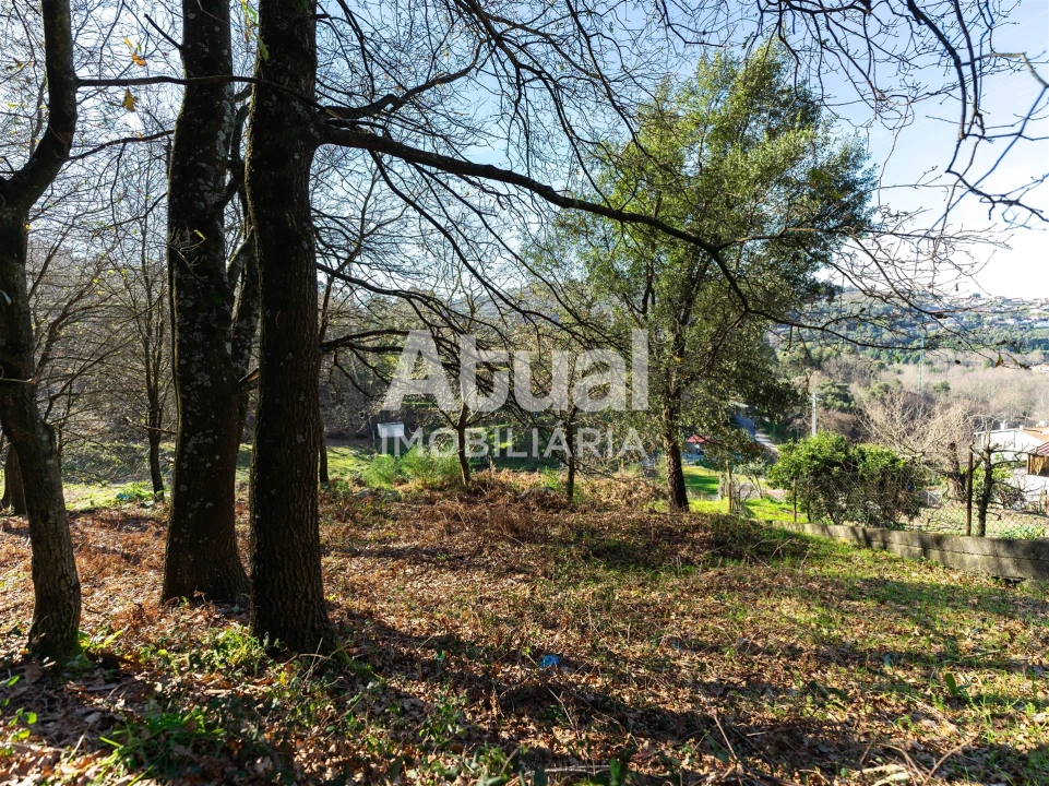 Terreno para Venda em Santa Eulália Foto 16