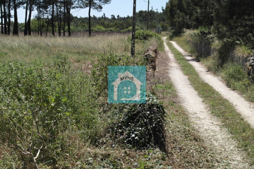 Terreno para Venda em Famalicão Foto 2