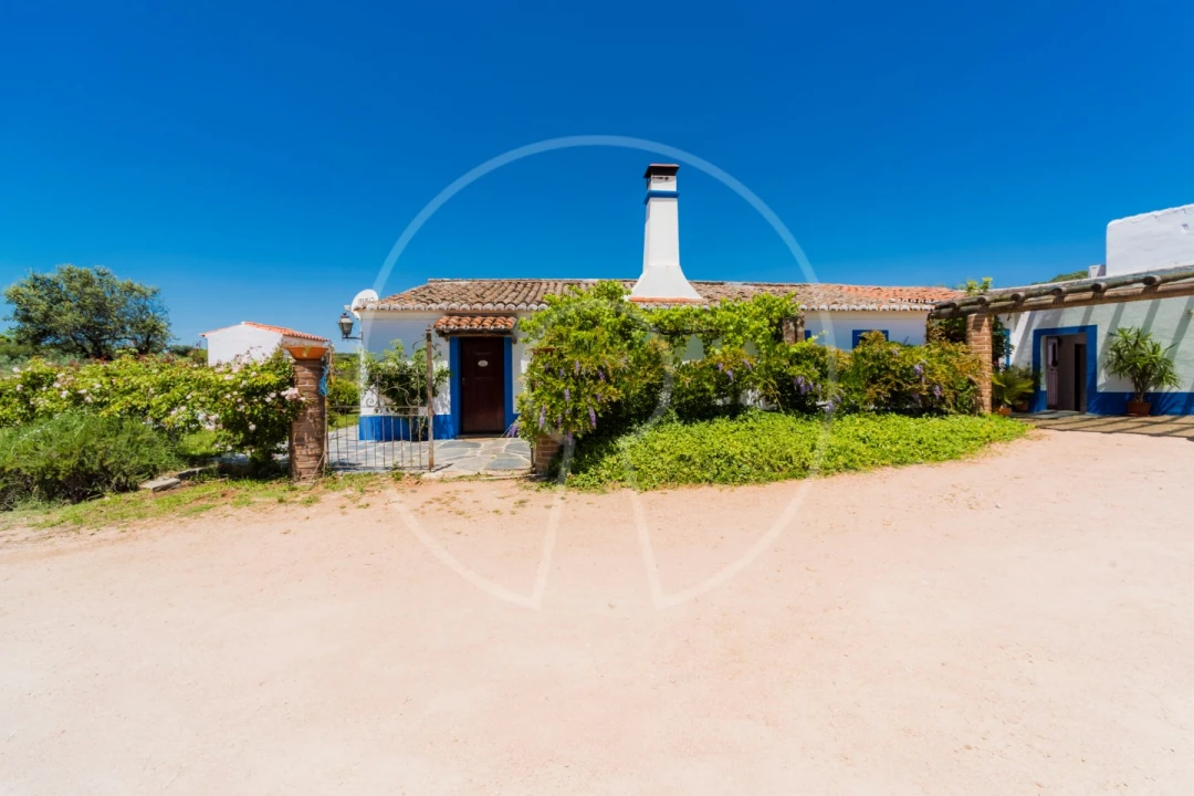 Quinta T15 para Venda em Monsaraz Foto 36