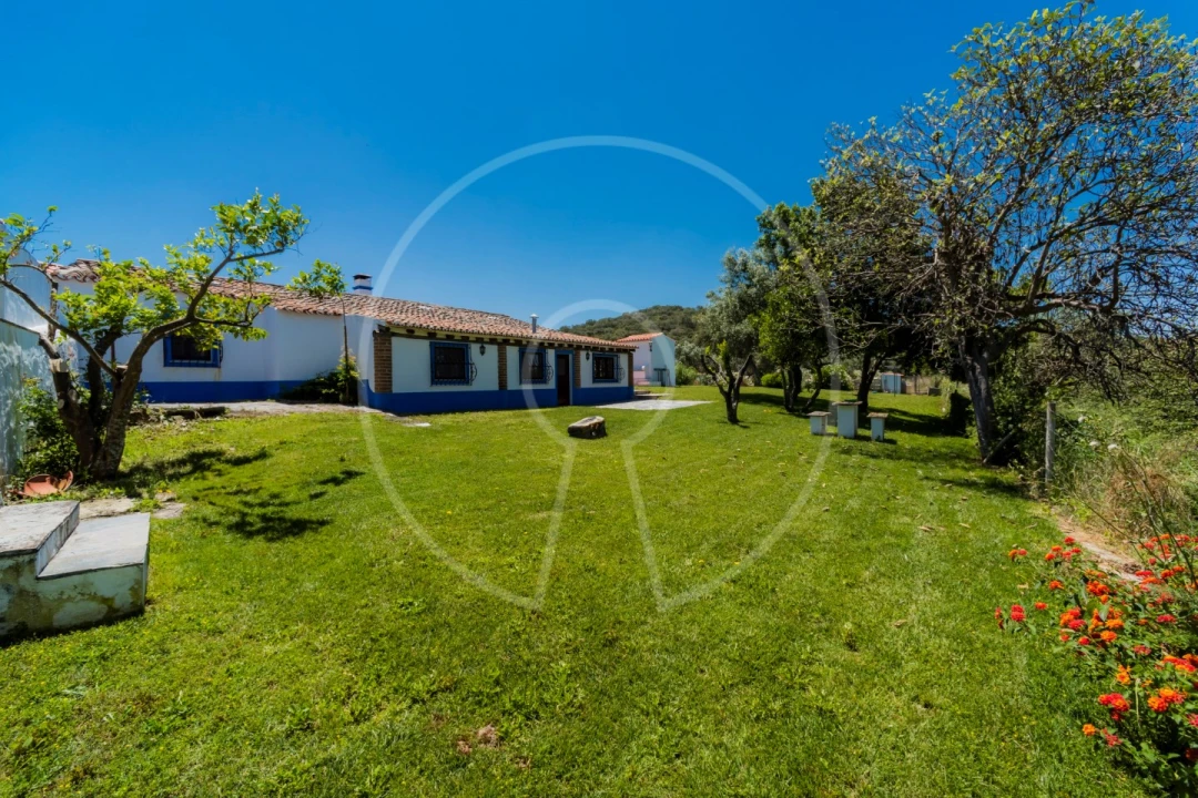 Quinta T15 para Venda em Monsaraz Foto 6