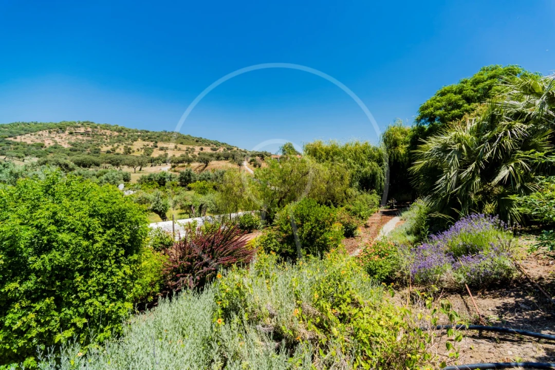 Quinta T15 para Venda em Monsaraz Foto 38