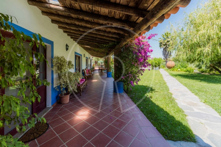 Quinta T15 para Venda em Monsaraz Foto 5