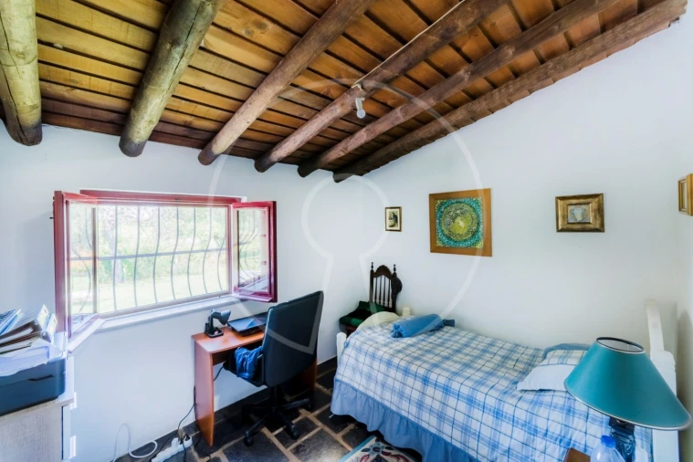 Quinta T15 para Venda em Monsaraz Foto 35