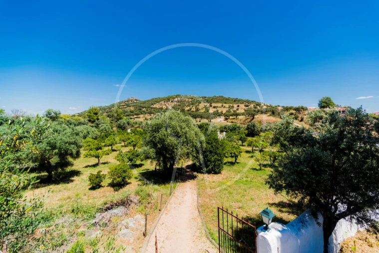 Quinta T15 para Venda em Monsaraz Foto 39