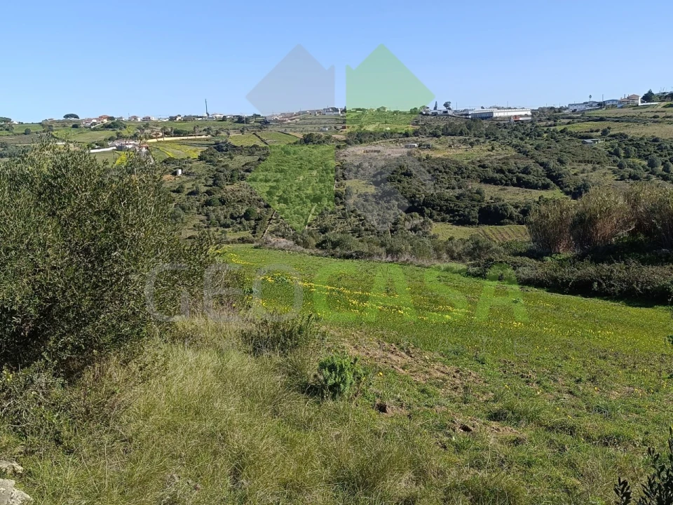 Terreno Agricola ou Rústico para Venda em São João das Lampas e Terrugem Foto 5