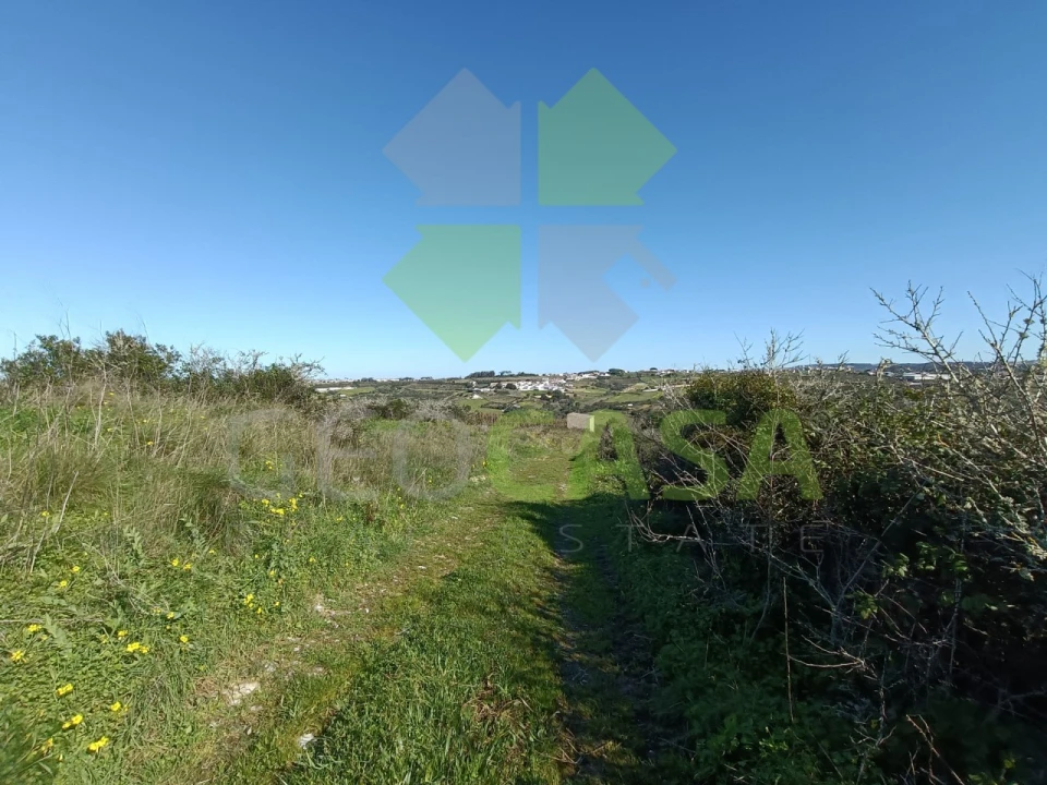 Terreno Agricola ou Rústico para Venda em São João das Lampas e Terrugem Foto 11