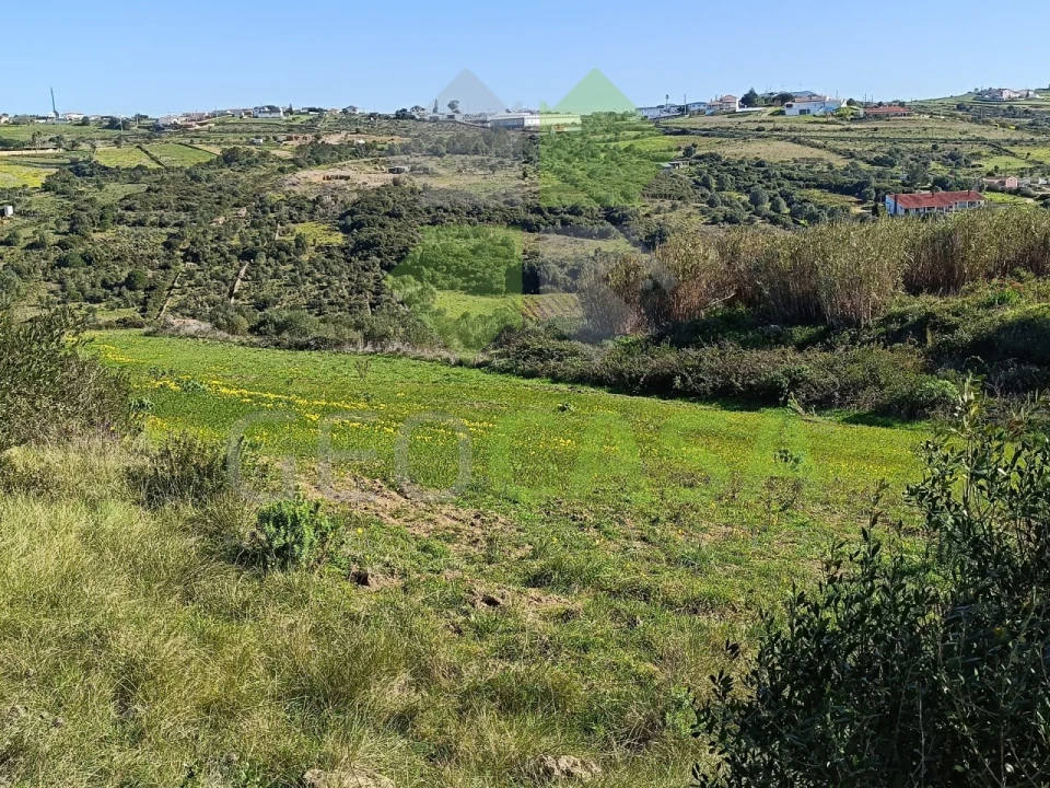 Terreno Agricola ou Rústico para Venda em São João das Lampas e Terrugem Foto 3