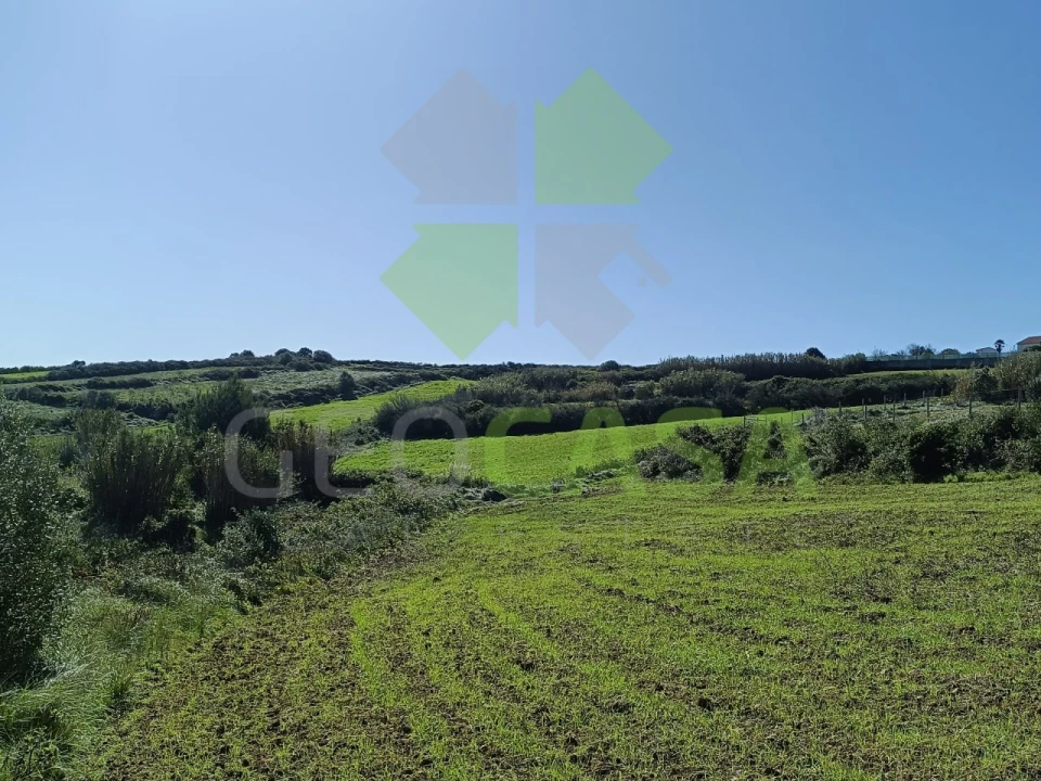Terreno Agricola ou Rústico para Venda em São João das Lampas e Terrugem Foto 10