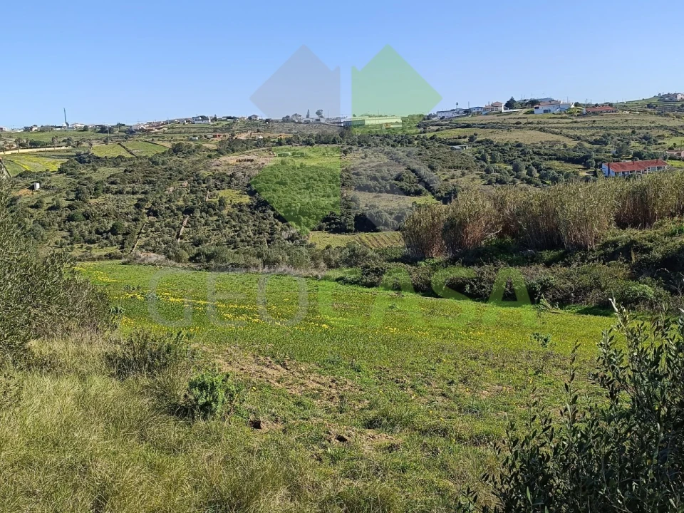 Terreno Agricola ou Rústico para Venda em São João das Lampas e Terrugem Foto 6
