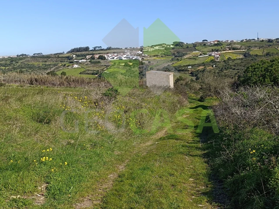 Terreno Agricola ou Rústico para Venda em São João das Lampas e Terrugem Foto 14