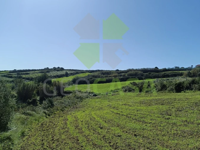 Terreno Agricola ou Rústico para Venda em São João das Lampas e Terrugem Foto 10