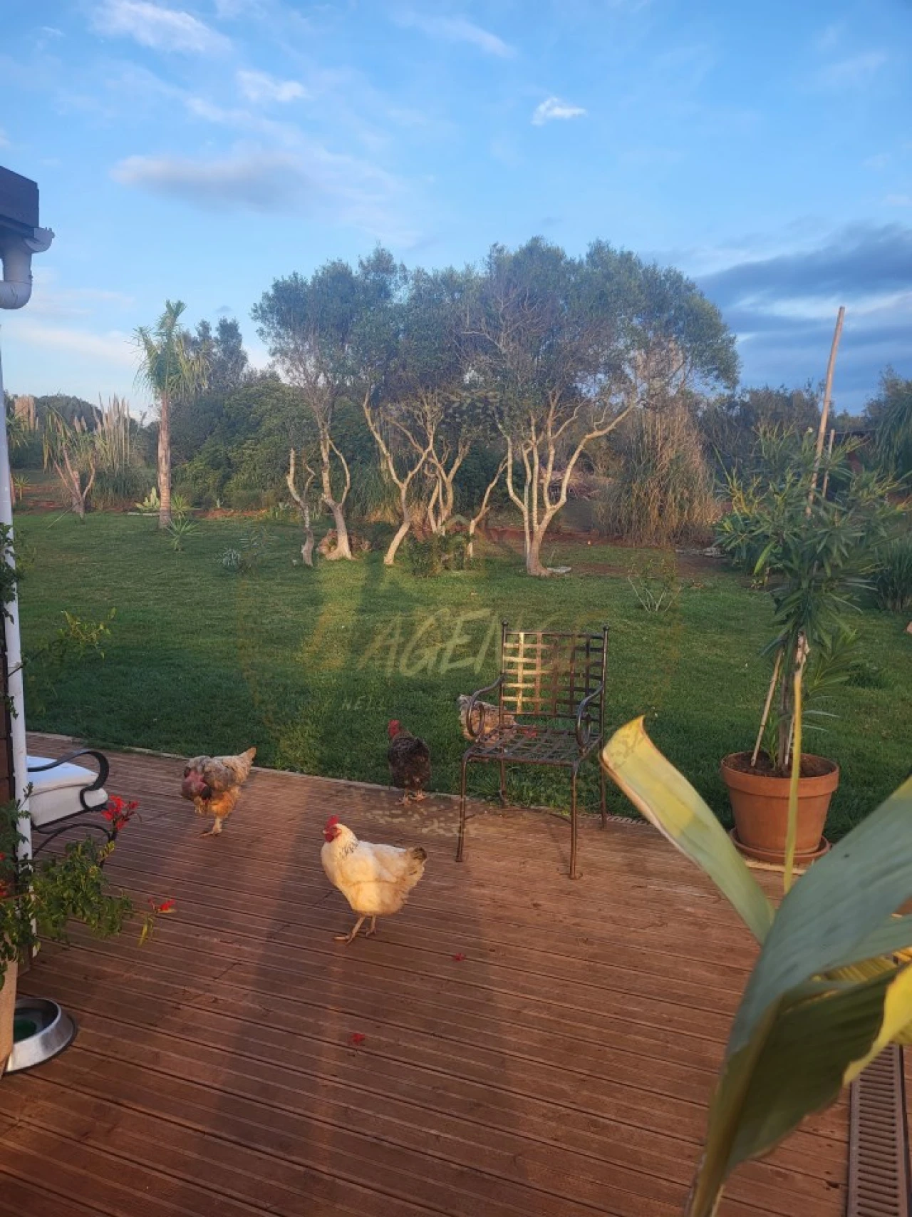 Terreno Agricola ou Rústico para Venda em Bensafrim e Barão de São João Foto 17