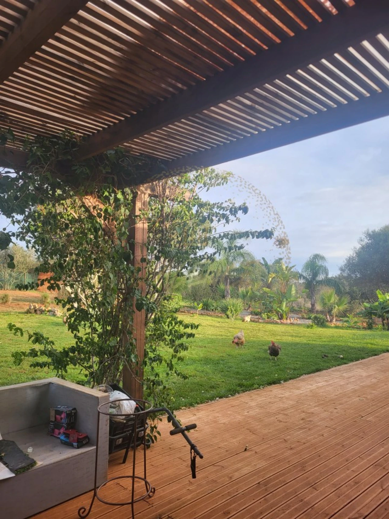 Terreno Agricola ou Rústico para Venda em Bensafrim e Barão de São João Foto 18