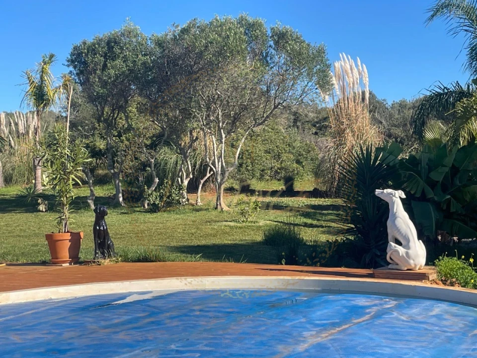 Terreno Agricola ou Rústico para Venda em Bensafrim e Barão de São João Foto 3