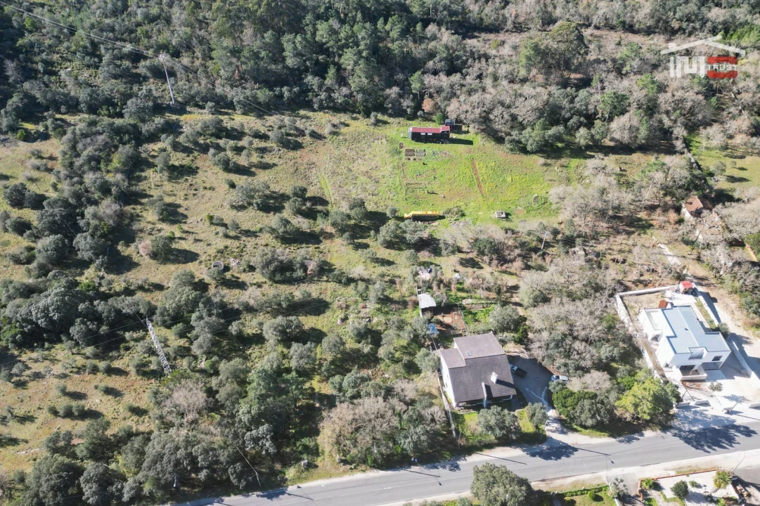 Terreno P/ Prédio para Venda em Fatima Foto 12