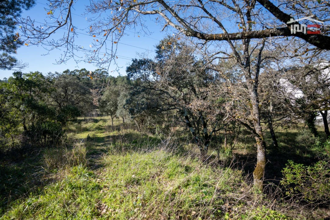 Terreno P/ Prédio para Venda em Fatima Foto 1