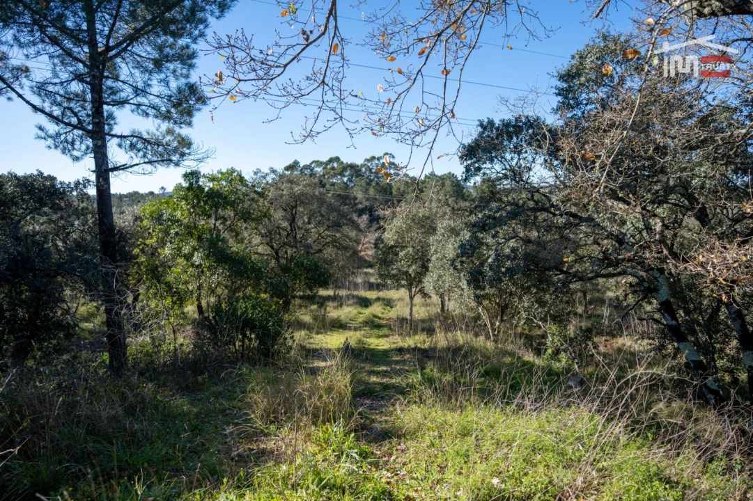 Terreno P/ Prédio para Venda em Fatima Foto 16