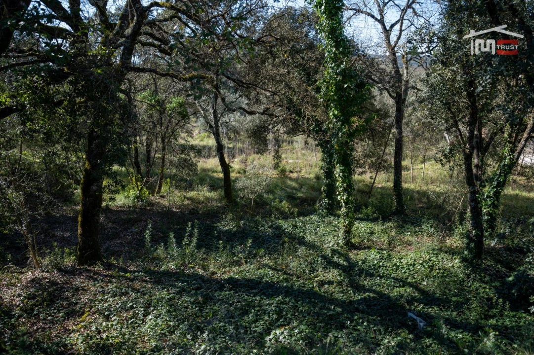 Terreno P/ Prédio para Venda em Fatima Foto 21