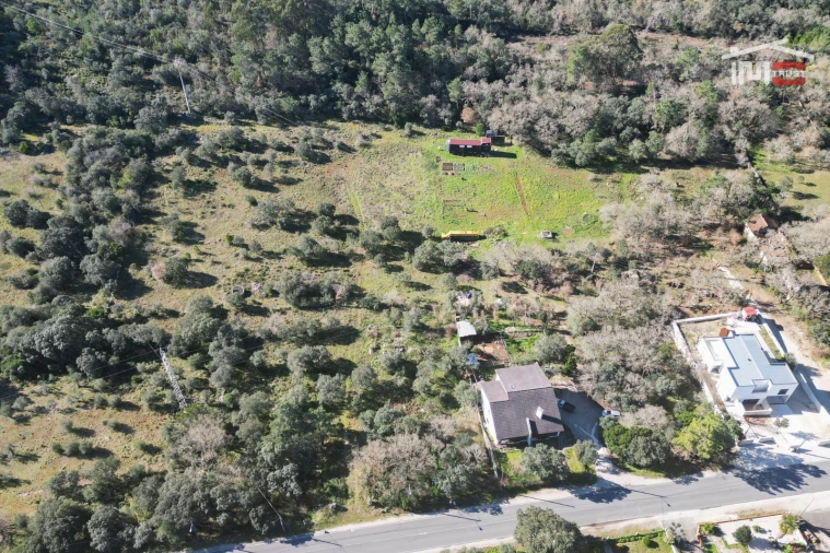 Terreno P/ Prédio para Venda em Fatima Foto 12