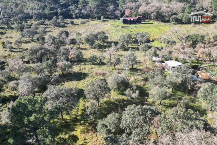 Terreno P/ Prédio para Venda em Fatima Foto 11