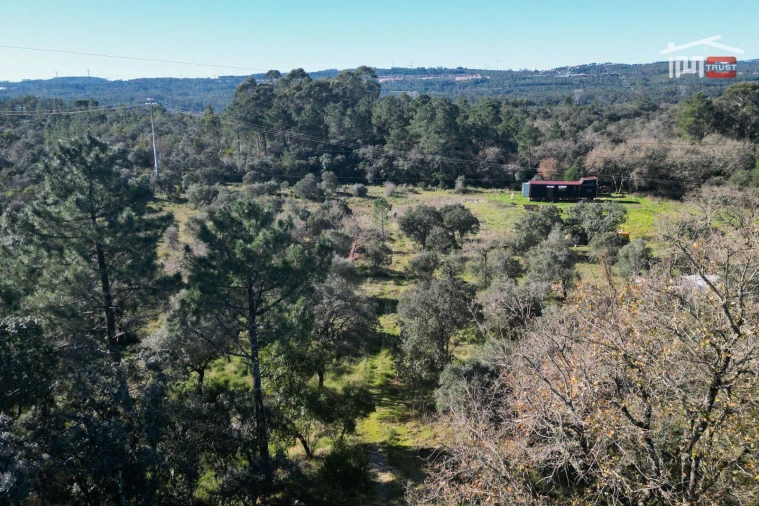 Terreno P/ Prédio para Venda em Fatima Foto 13