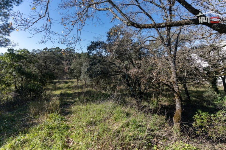 Terreno P/ Prédio para Venda em Fatima Foto 14