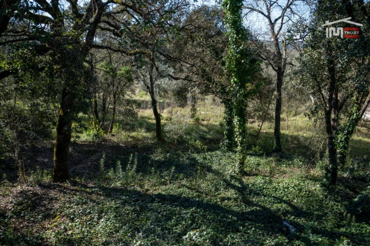Terreno P/ Prédio para Venda em Fatima Foto 22