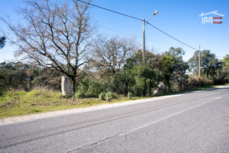 Terreno P/ Prédio para Venda em Fatima Foto 3