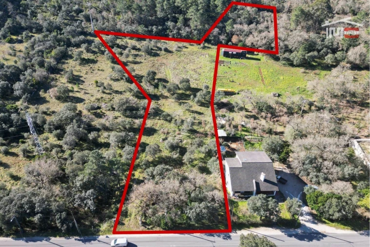 Terreno P/ Prédio para Venda em Fatima Foto 4