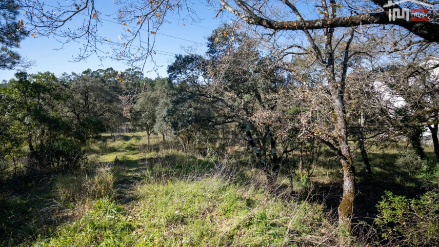 Terreno P/ Prédio para Venda em Fatima