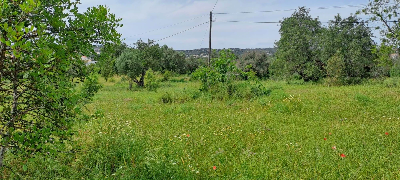 Terreno para Venda em Boliqueime Foto 3
