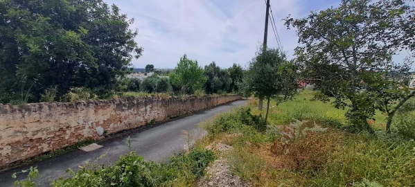 Terreno para Venda em Boliqueime
