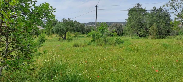 Terreno para Venda em Boliqueime