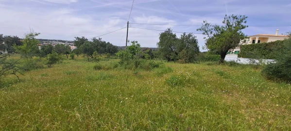 Terreno para Venda em Boliqueime