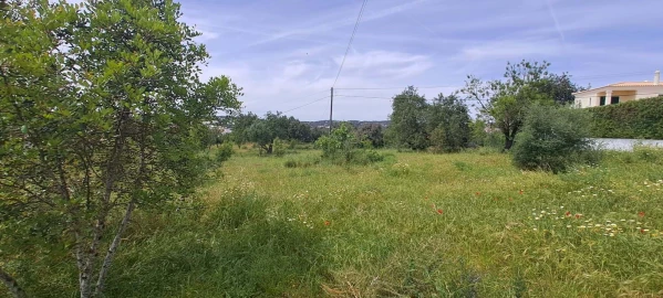 Terreno para Venda em Boliqueime